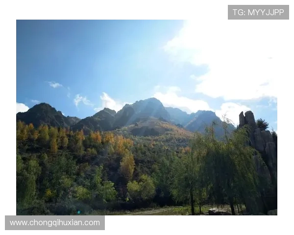 亚达禾与费哈的精彩对决分析及赛后点评